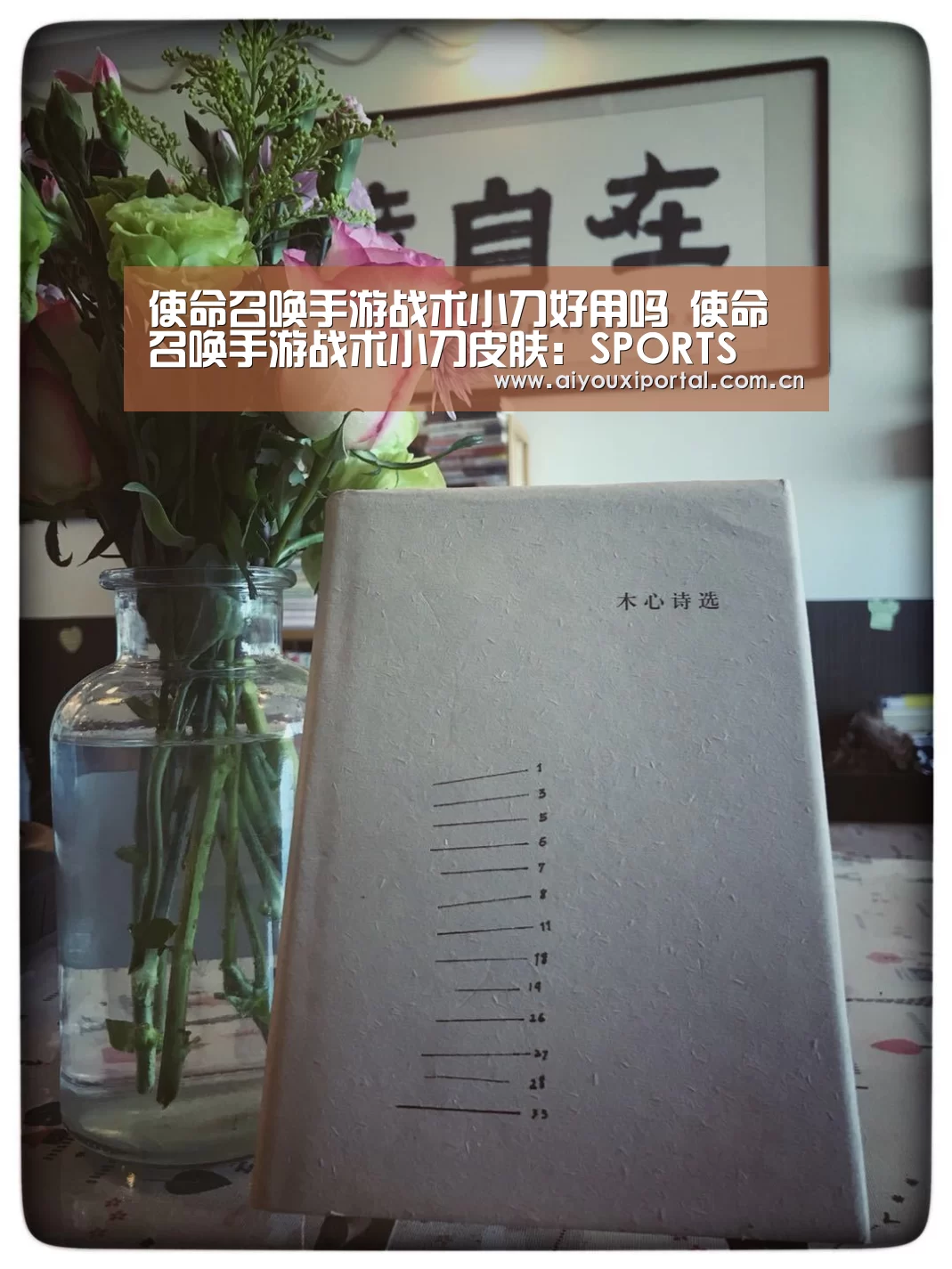 使命召唤手游战术小刀好用吗 使命召唤手游战术小刀皮肤:SPORTS(图2) 爱游戏app