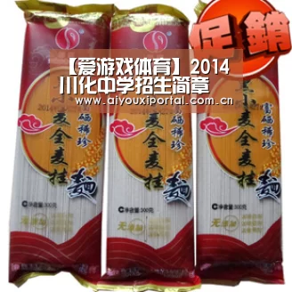 爱游戏体育