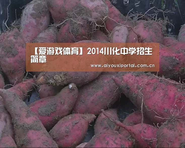 【爱游戏体育】2014川化中学招生简章(图2)