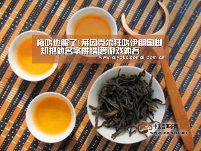 梅吹也服了!莱因克尔狂吹伊朗国脚 却把他名字拼错|爱游戏体育(图1) 爱游戏app