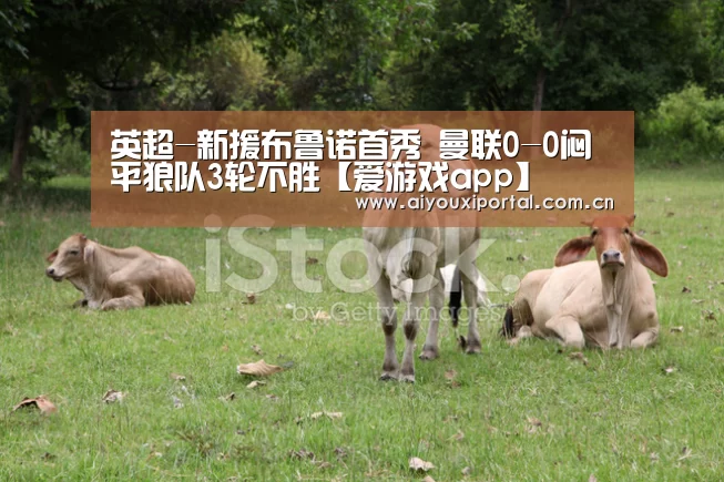 英超-新援布鲁诺首秀 曼联0-0闷平狼队3轮不胜【爱游戏app】(图1) 英超-新援布鲁诺首秀 曼联0-0闷平狼队3轮不胜【爱游戏app】(图1)