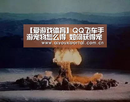 【爱游戏体育】QQ飞车手游宠物怎么得 如何获得宠物(图3)