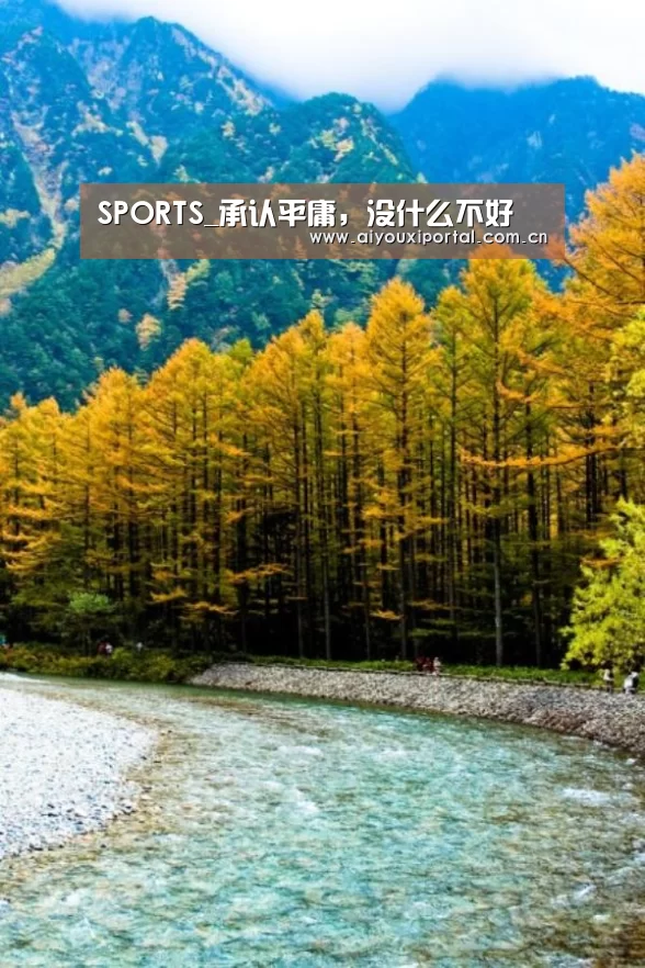 SPORTS_承认平庸,没什么不好(图2) 爱游戏体育