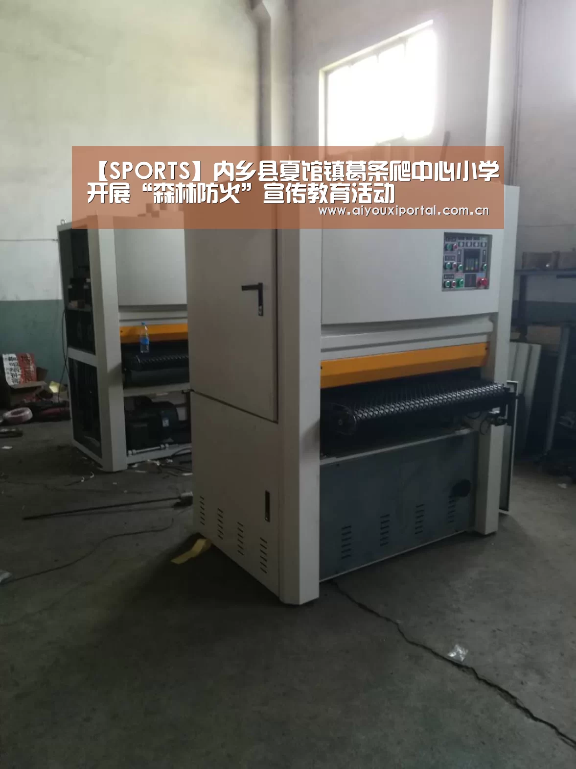 【SPORTS】内乡县夏馆镇葛条爬中心小学开展“森林防火”宣传教育活动(图2) 爱游戏app