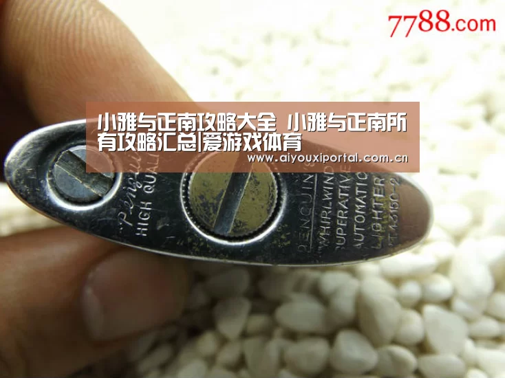 小雅与正南攻略大全 小雅与正南所有攻略汇总|爱游戏体育(图1) 爱游戏体育app