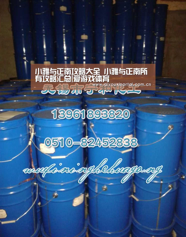 小雅与正南攻略大全 小雅与正南所有攻略汇总|爱游戏体育(图2) 爱游戏体育app